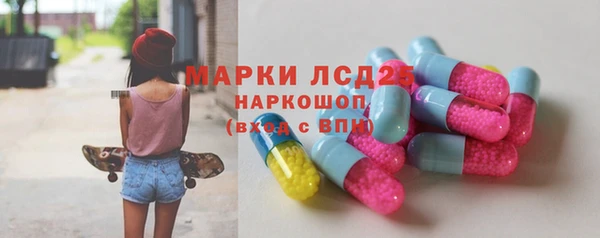 стафф Алексин