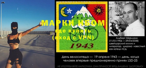 стафф Алексин