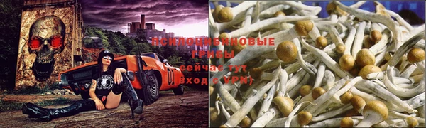 мефедрон Алексеевка